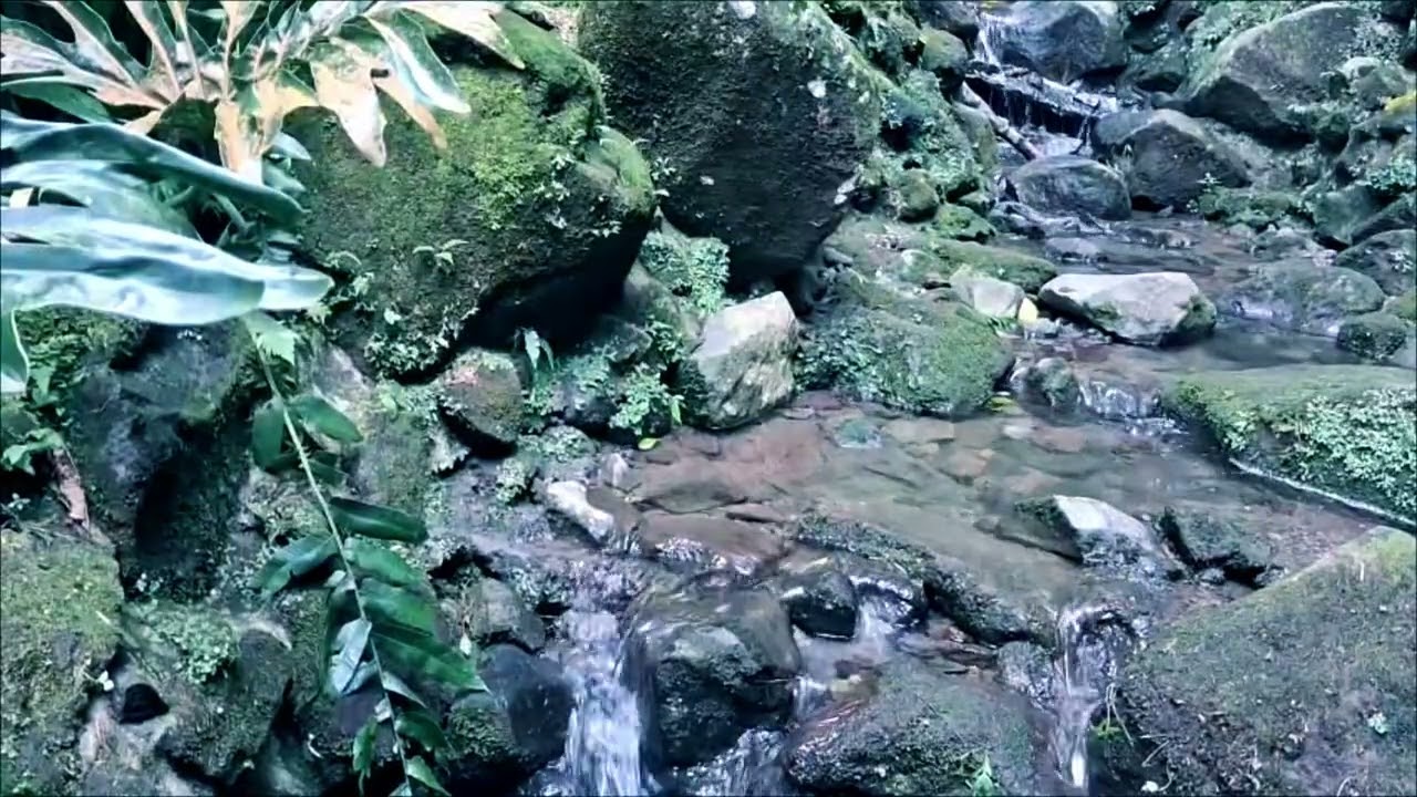 Soothing River and Waterfall Sounds in the Rocky Mountains – Deep Sleep Ambience