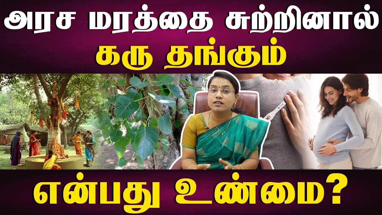 கருமுட்டை வெளிவர 10 நாள் இதை சாப்பிடுங்க! | How to treat ovulation disorders | Dr.M.S.Usha Nandhini