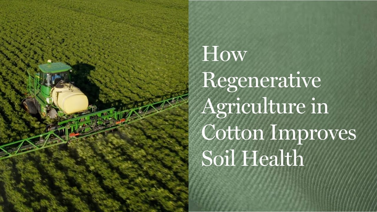 How Regenerative Agriculture in Cotton Improves Soil Health
