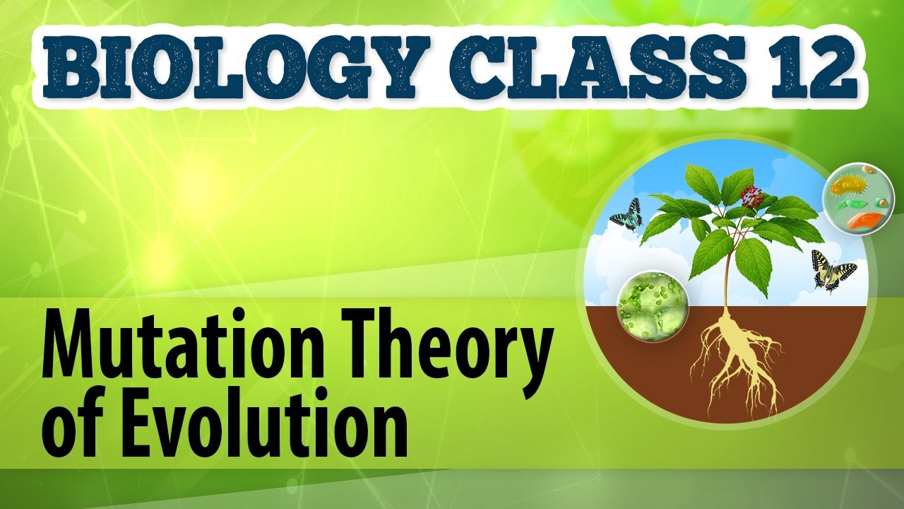 Mutation Theory of Evolution - Origin and Evolution of Life - Biology Class 12