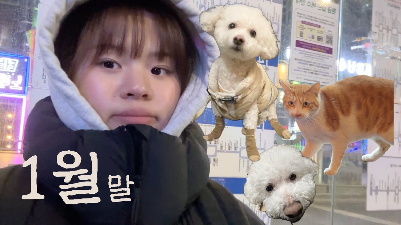 1월 말... 도저히 집을 안가는 브이로그