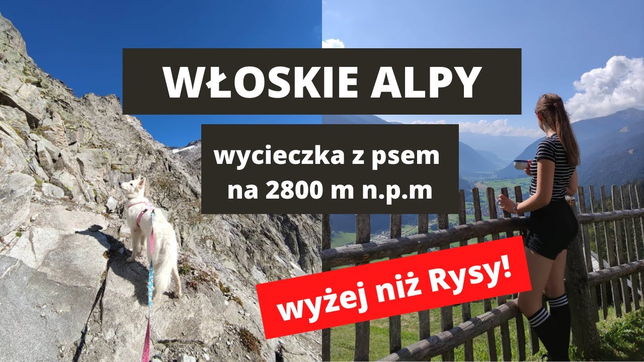 WŁOSKIE ALPY! Wchodzimy na 2800 m n.p.m - wyżej niż Rysy! | Pies w Alpach | Włochy z psem