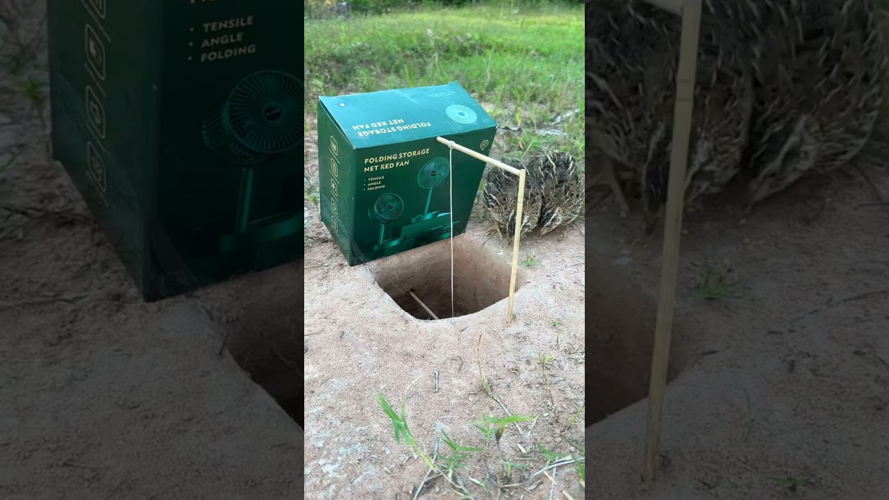 Old fan cardboard bird trap