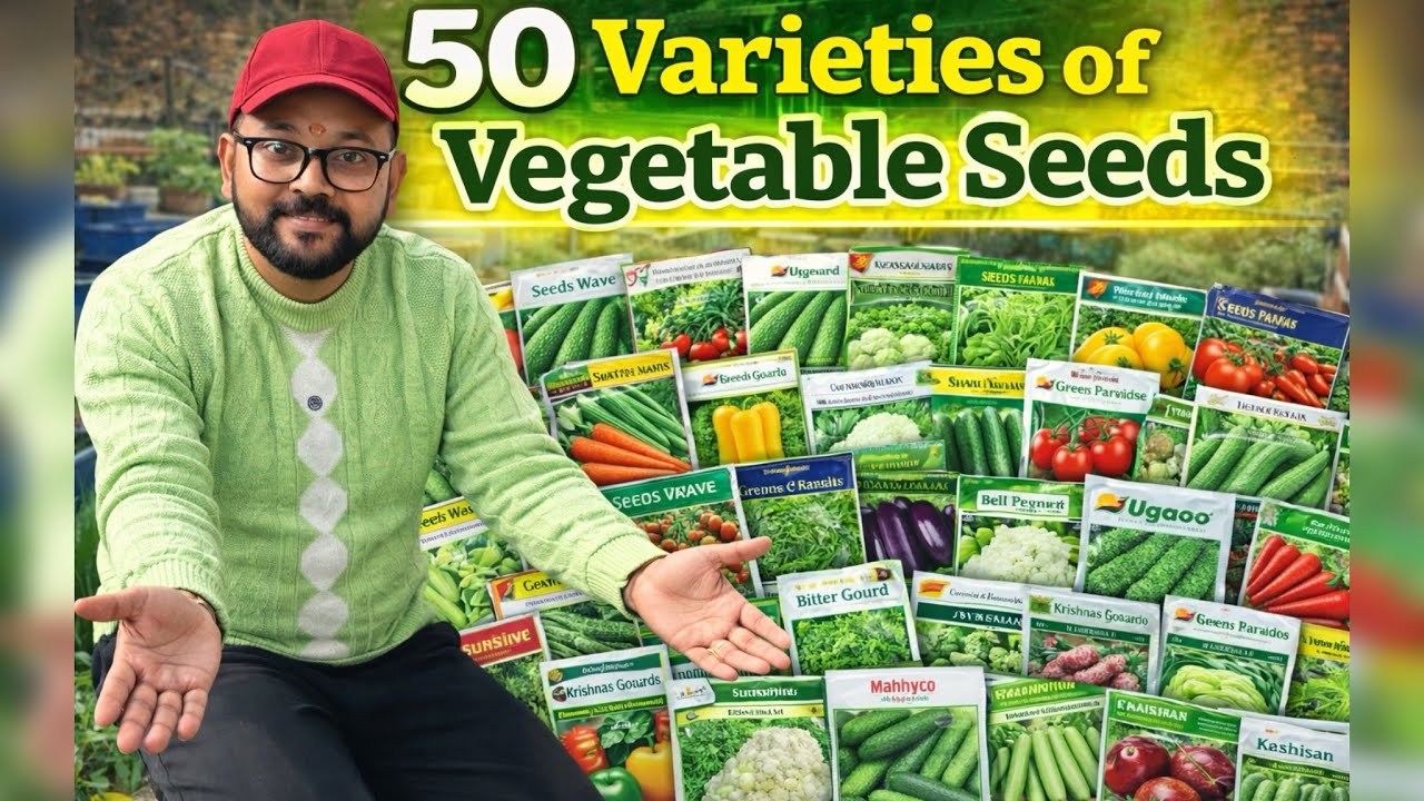 50 Varieties of vegetables seeds 