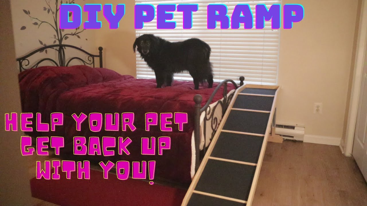 How to build a DIY Pet Ramp Start to Finish - Includes complete Drawings and Instructions!