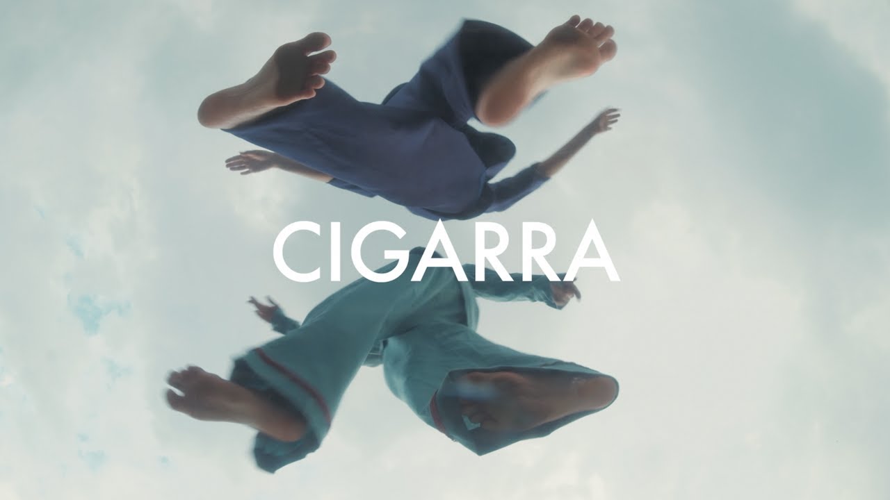 ANAVIT&Oacute;RIA - Cigarra (visualizer)