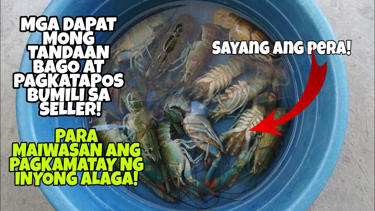 MGA DAPAT MONG 