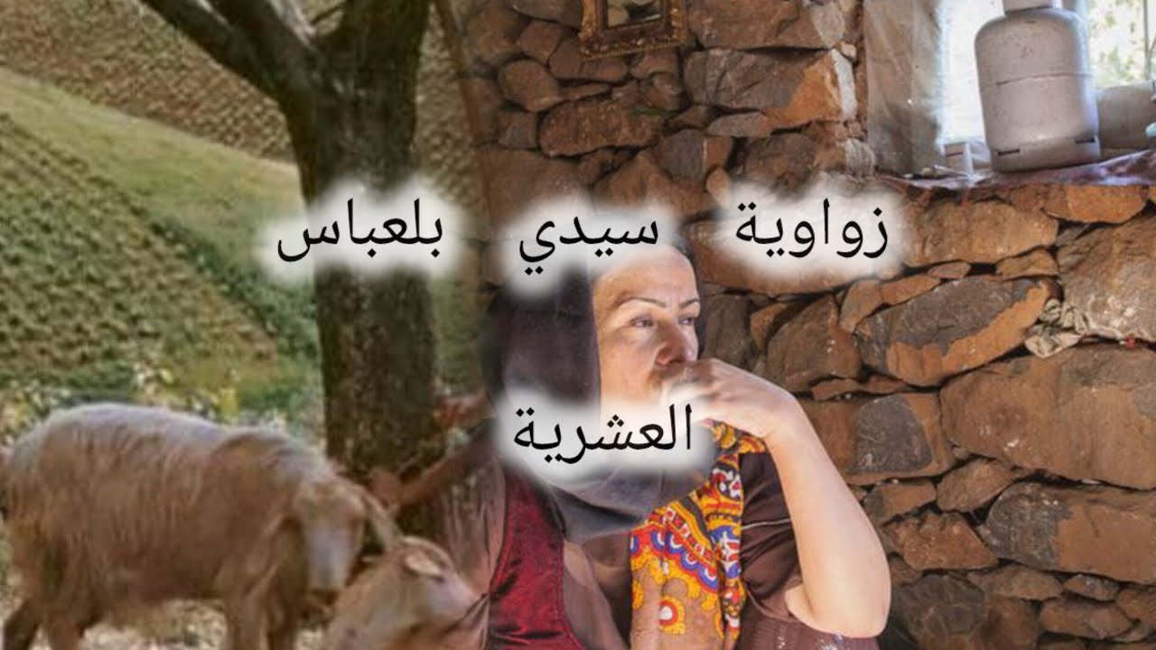 قصة الزواوية من سيدي بلعباس قصة من العشرية الكحلة 😔