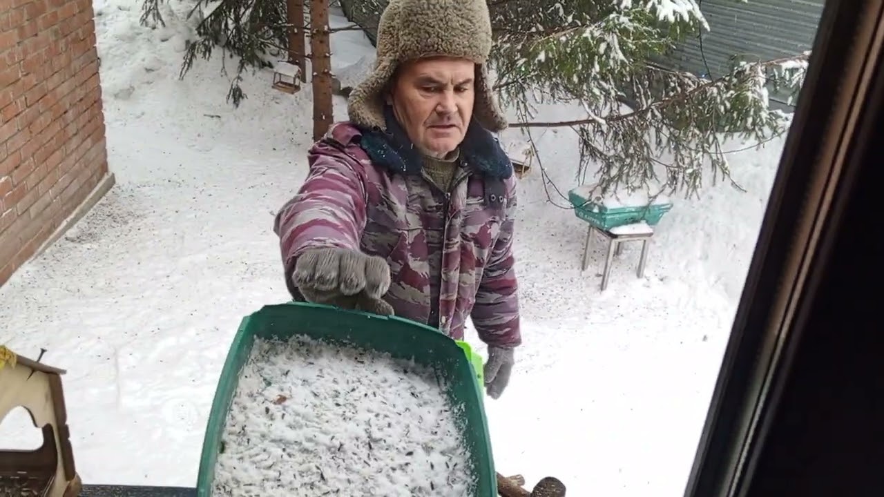 Утро с белками.Карта на корм зверятам 2202 2062 6013 7323