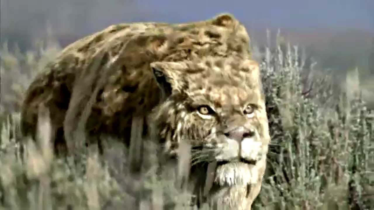SMILODON - Sabre Toothed Beast [HD]