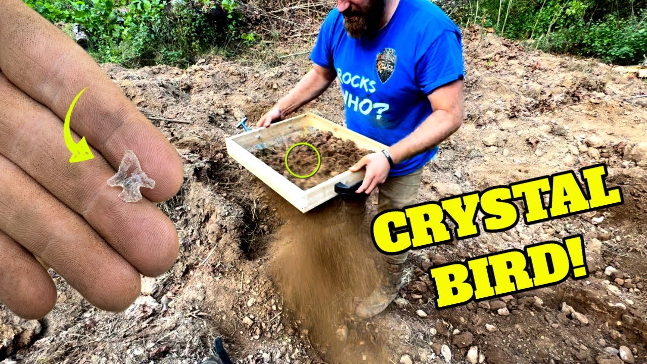 STRANGE Dark Soil LOADED with Artifacts! Arrowhead Hunting Arkansas!