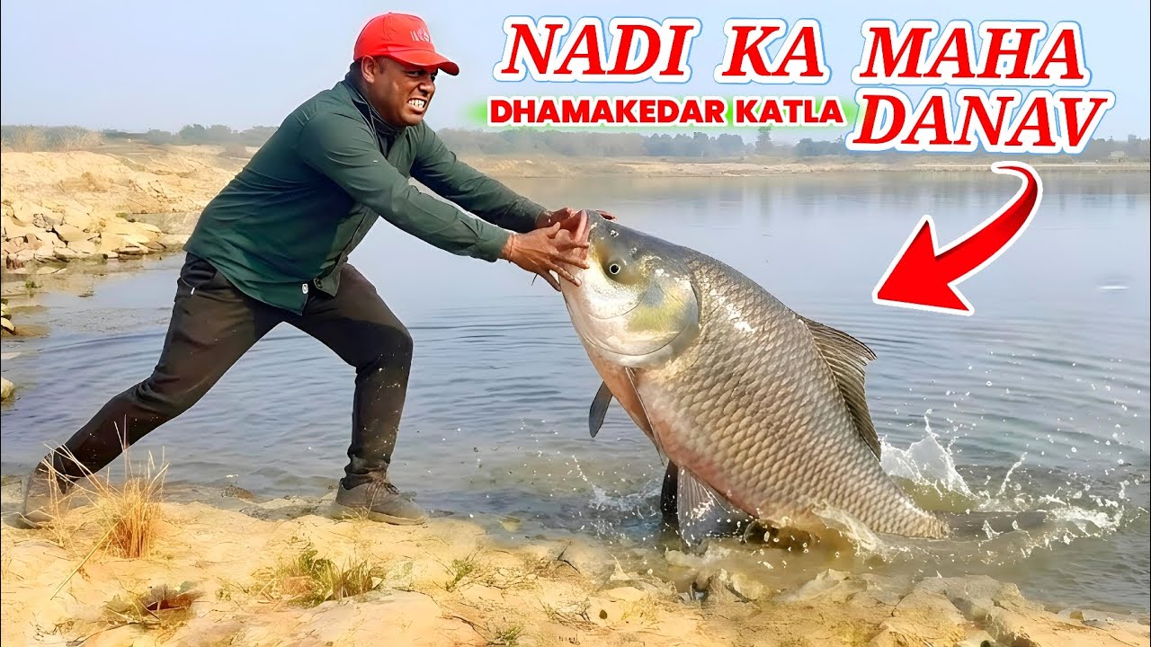 Biggest Fish Catching With Hook 😱 Big Fish Catching Videos | River Fishing Techniques | Fishing
