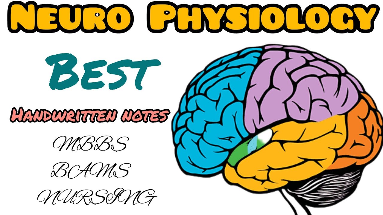 #NEUROPHYSIOLOGY Handwritten notes for MBBS/BAMS-1st prof.|#neurophysiology#mbbsnotes#aiimslifestyle