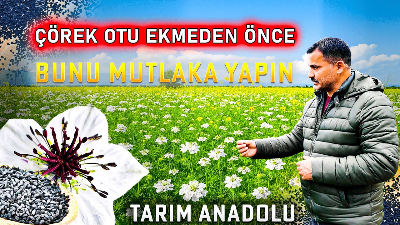 Adım Adım Çörek Otu Yetiştiriciliği – 1. Bölüm: Toprak Hazırlığı