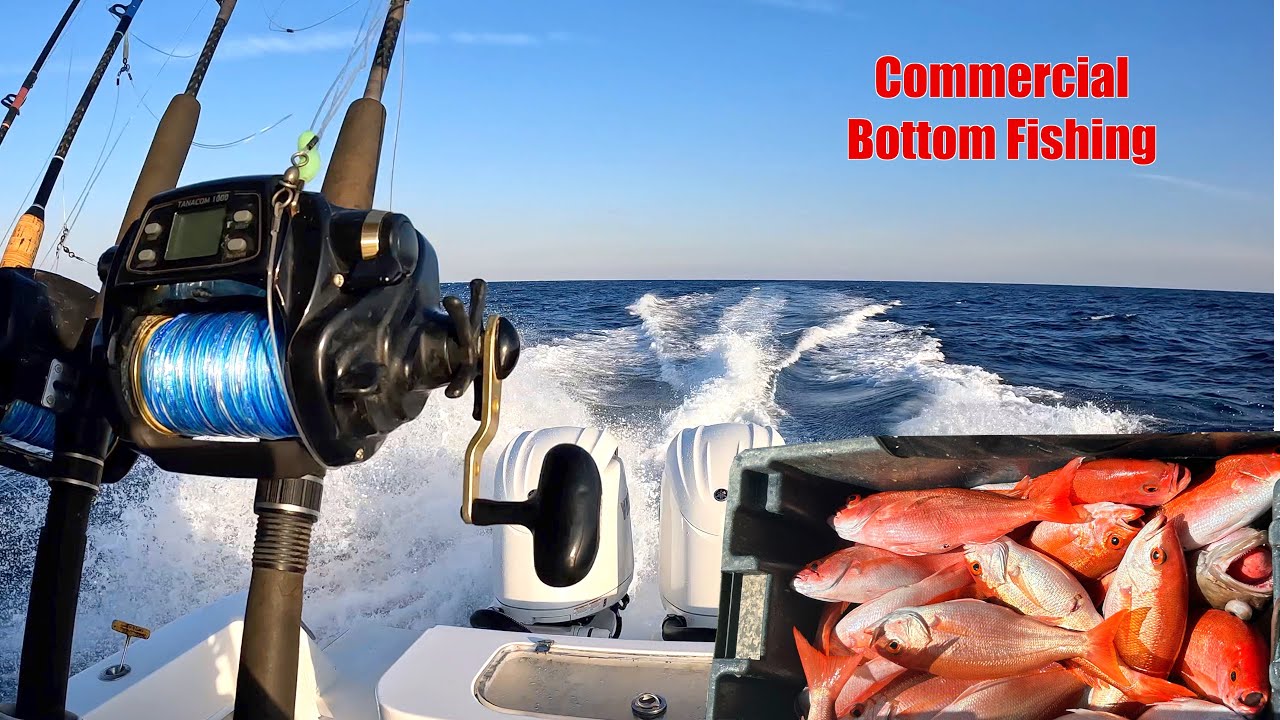 Loading The Boat {Deep-Drop Commercial Fishing}