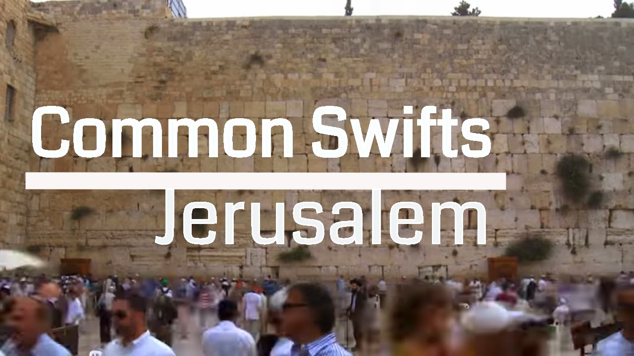 Swifts Over the Holy City of Jerusalem