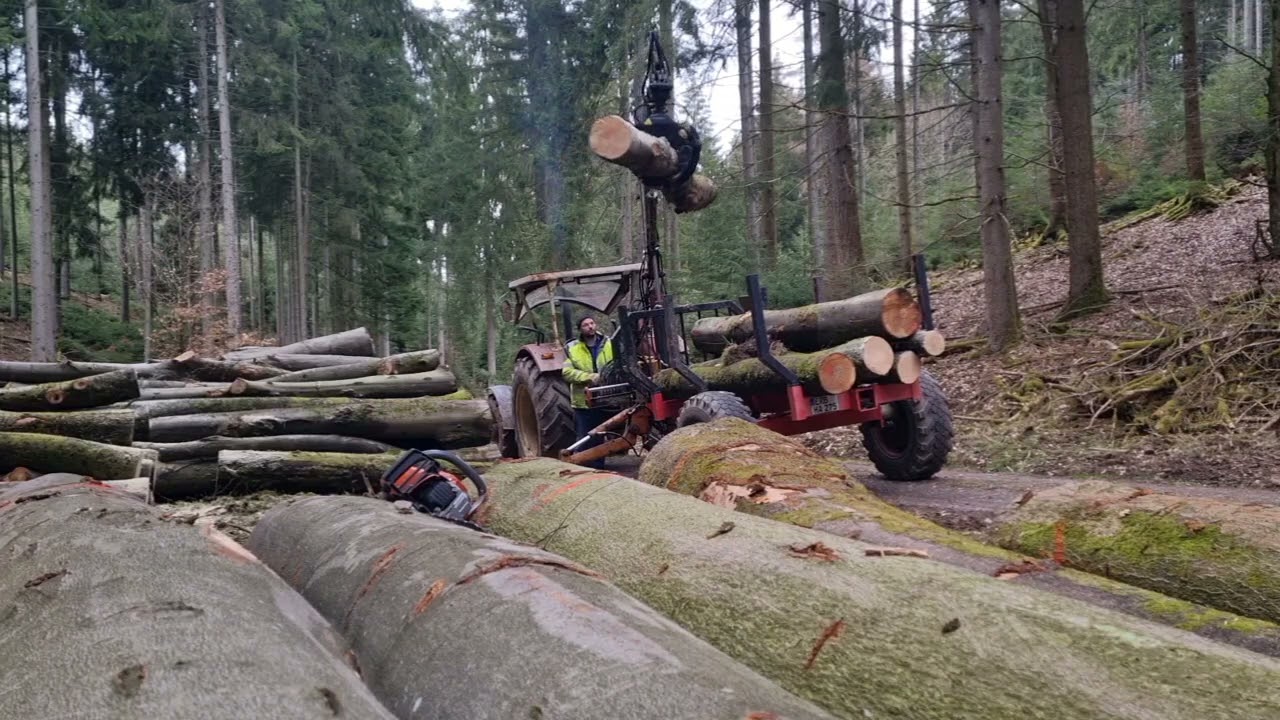 Brennholz laden IHC 724, mit eigenbau Rückewagen.