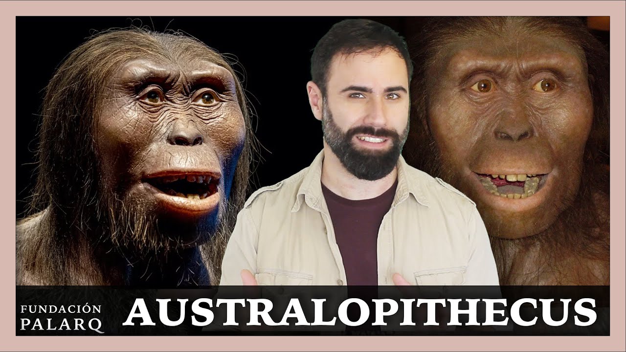 🔹 AUSTRALOPITHECUS | Las principales especies de homininos y etapas de la prehistoria