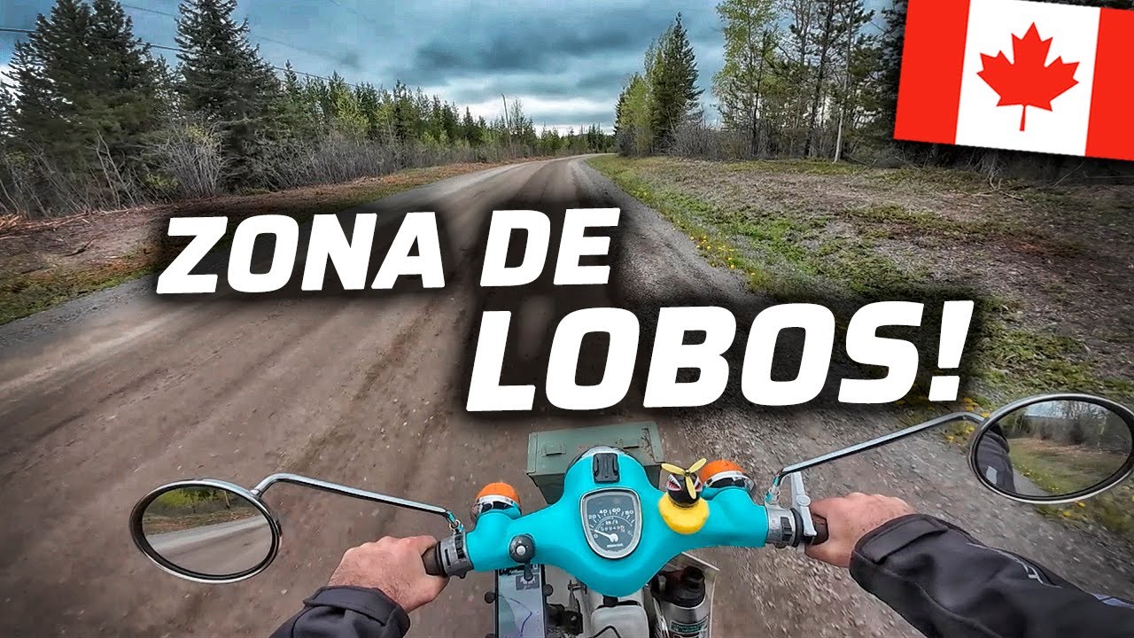 ENTRO EN TERRITORIO DE LOBOS Y ACAMPO EN MEDIO DEL BOSQUE👀😱 | CANADÁ🇨🇦