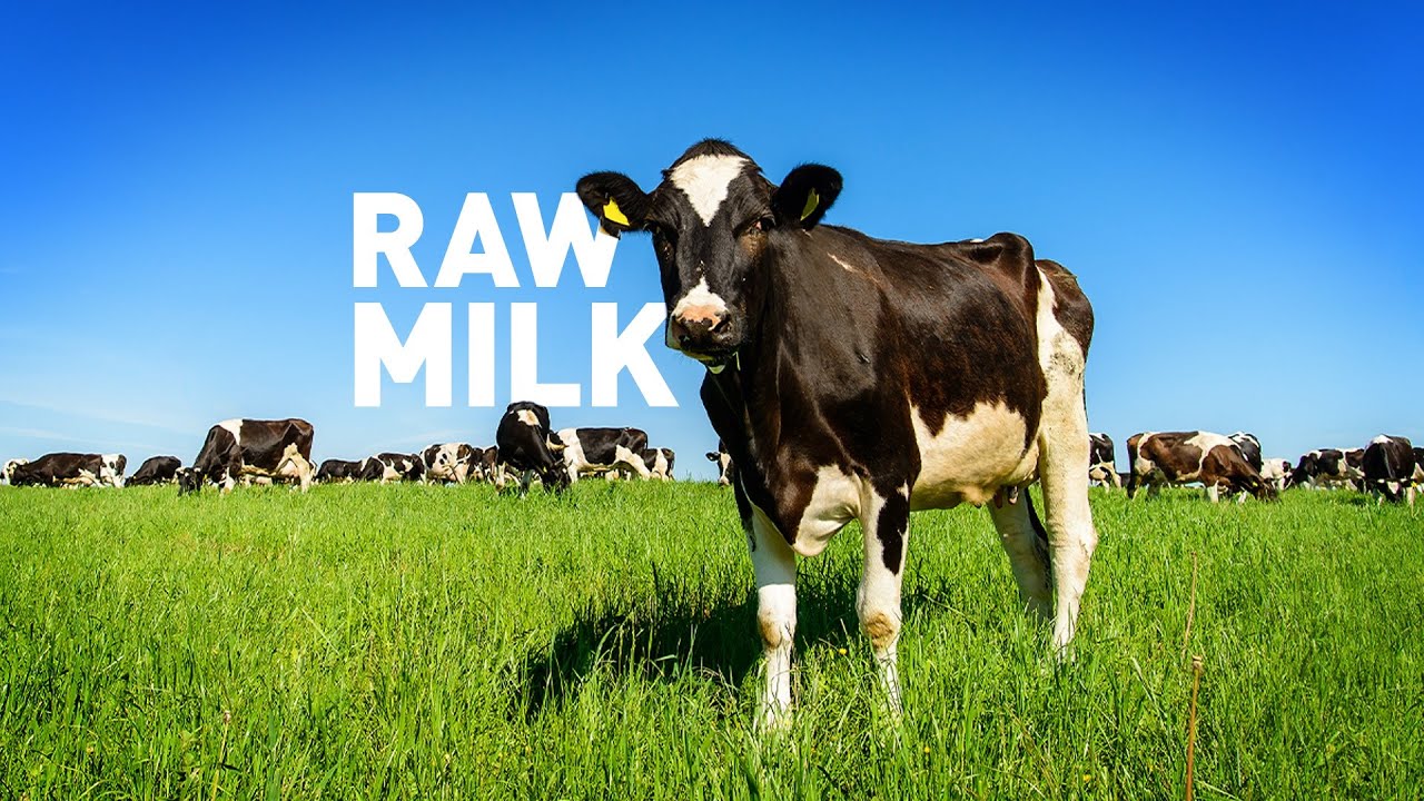 November 24, 2024   Cover Story Raw Milk