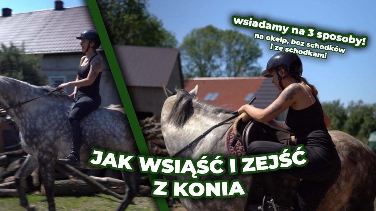 Jak wejść na konia...bez schodków, bez siodła, ze schodków i jak z niego zejść :D