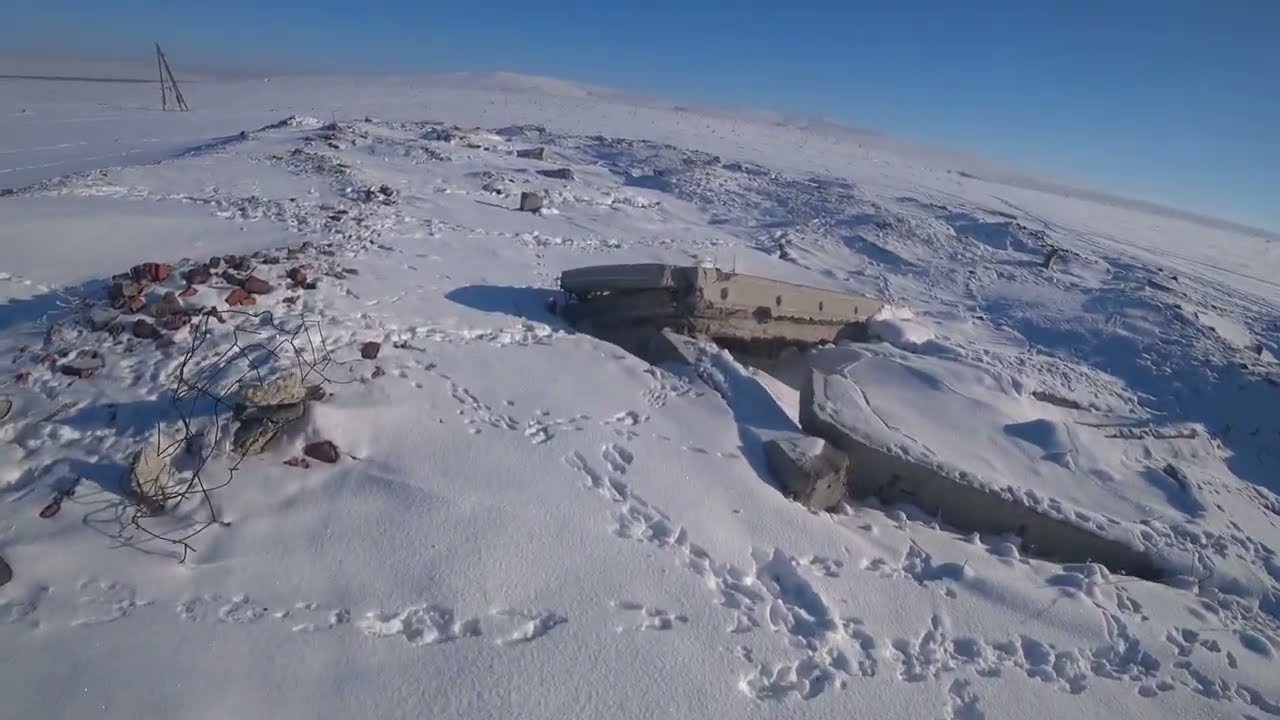 Охота на зайца зимой,январь 2025 год. Добыл два зайца.