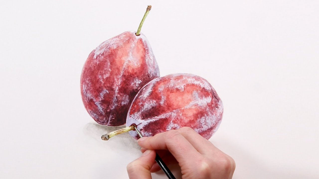 How to paint realistic 'bloom' effects on fruit in watercolour - with Anna Mason