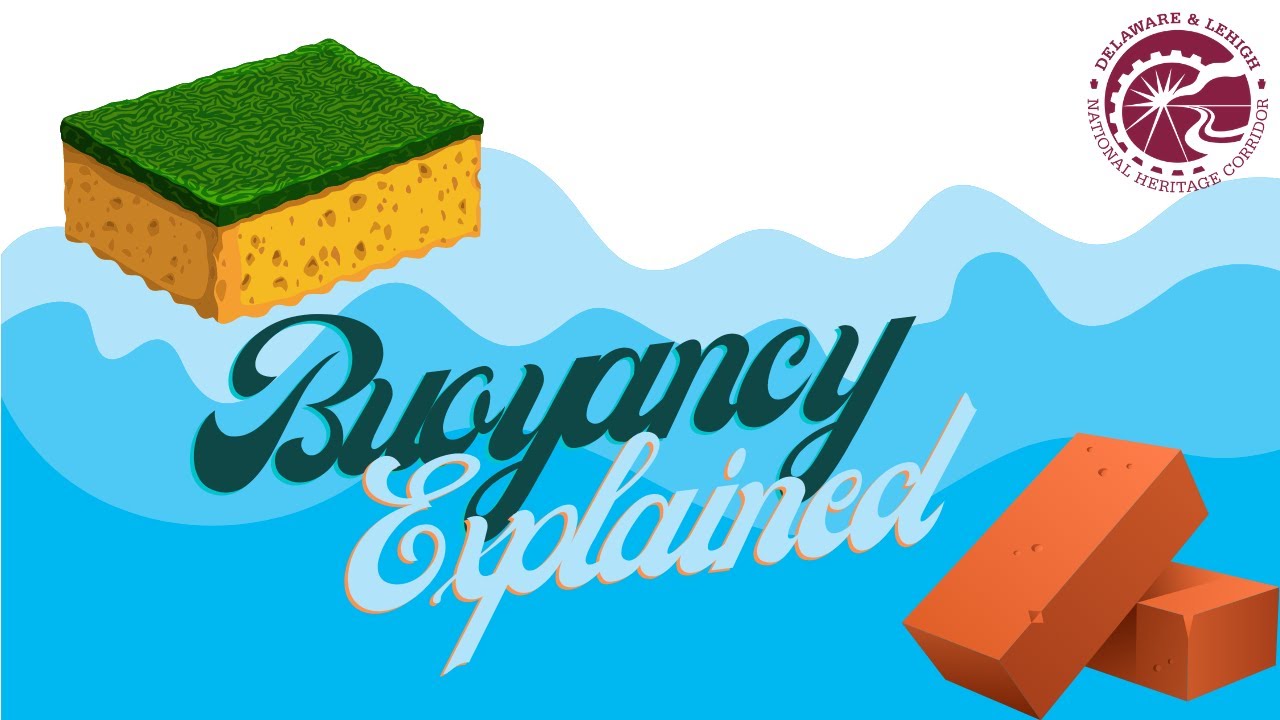 Buoyancy Explained