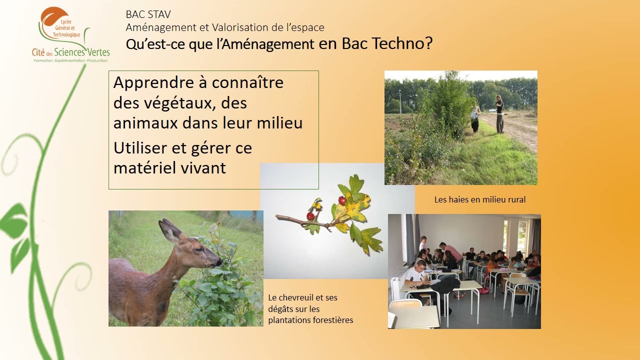 Présentation BAC STAV Aménagement