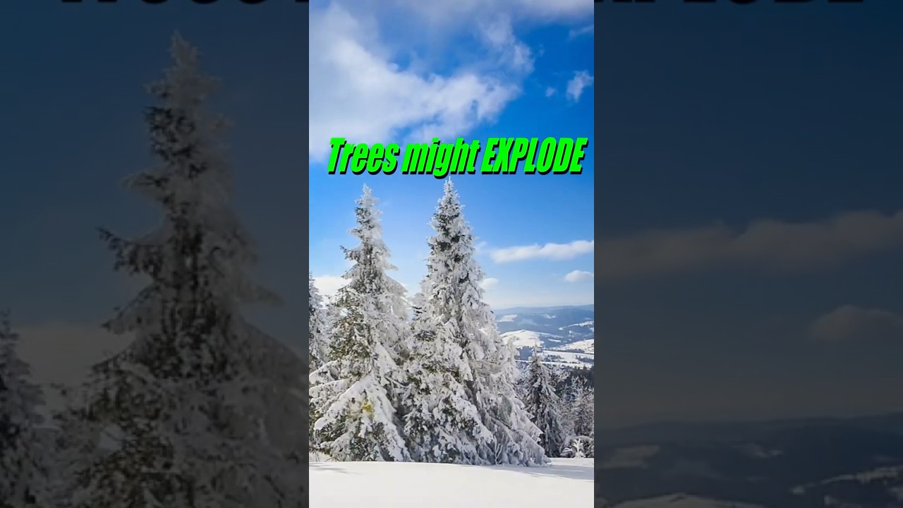 The Winter Storm can make Trees EXPLODE!? 