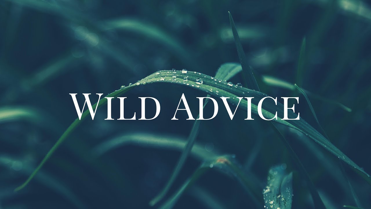 S1E4: Timbavati Private Nature Reserve
