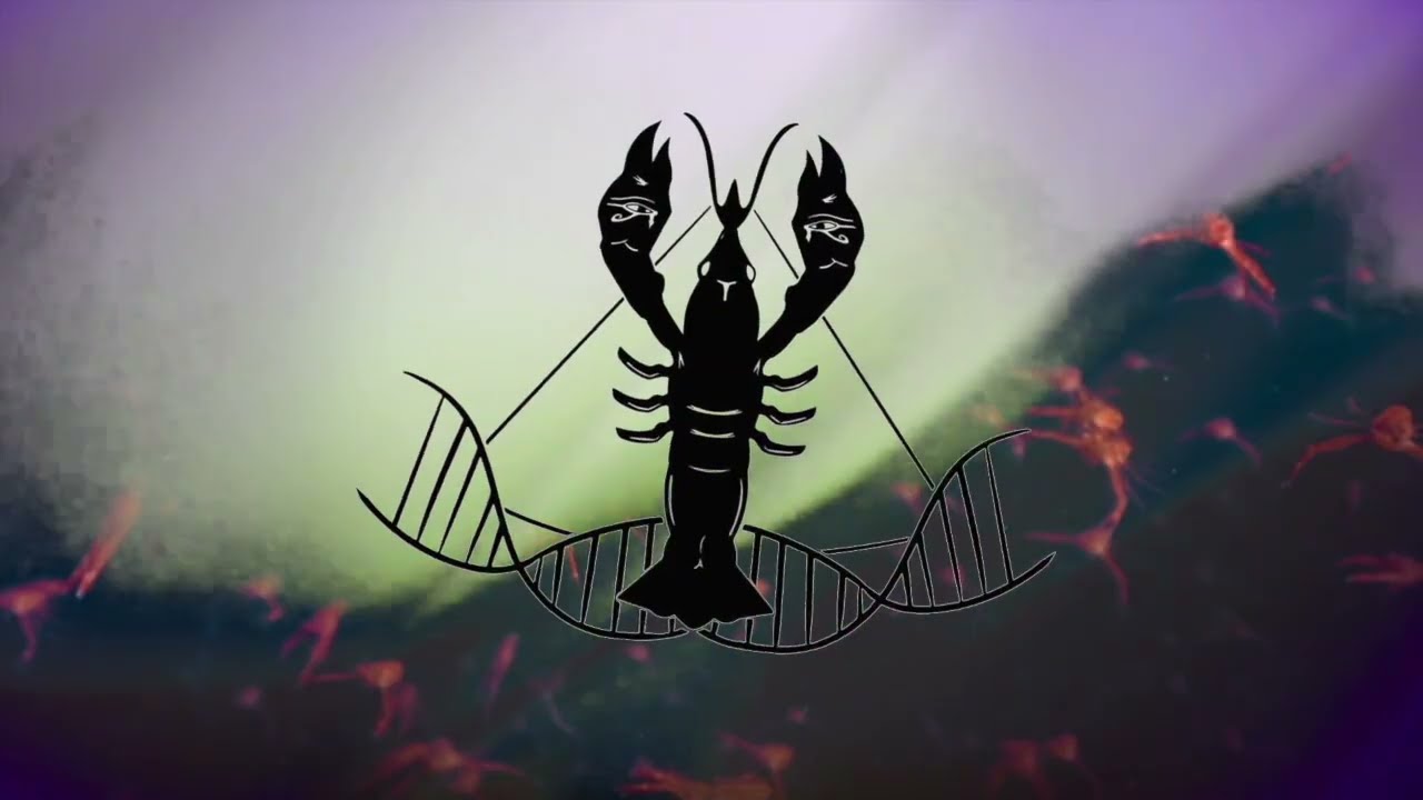 Creighfish - Glowin (Official) Grand Alliance Music