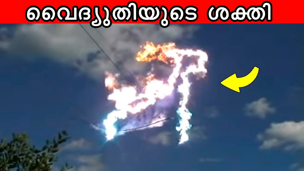 ക്യാമറയിൽ കണ്ടില്ലായിരുന്നു എങ്കിൽ നിങ്ങൾ ഇതു ഒരിക്കലും വിശ്വസിക്കില്ല.