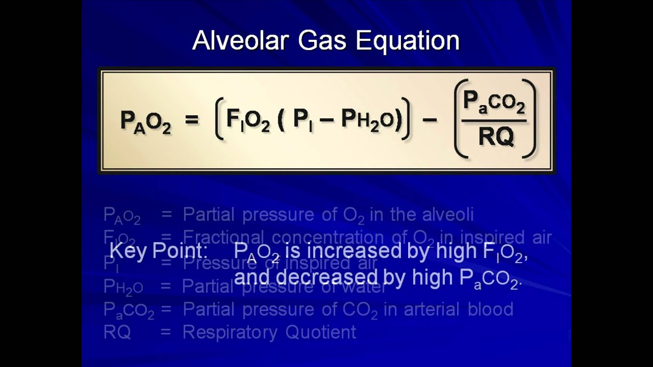 Normal Gas Exchange (Mechanical Ventilation - Lecture 4)