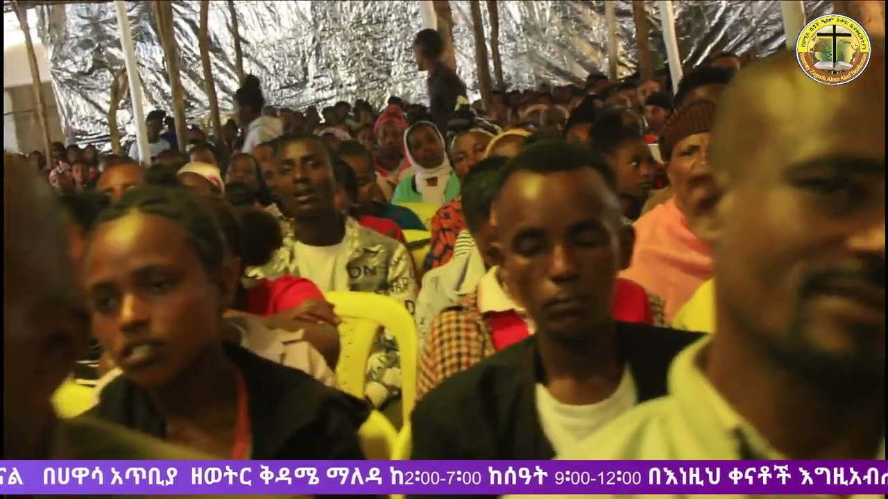 ነጩ አንበሳ #prophet muse dangiso