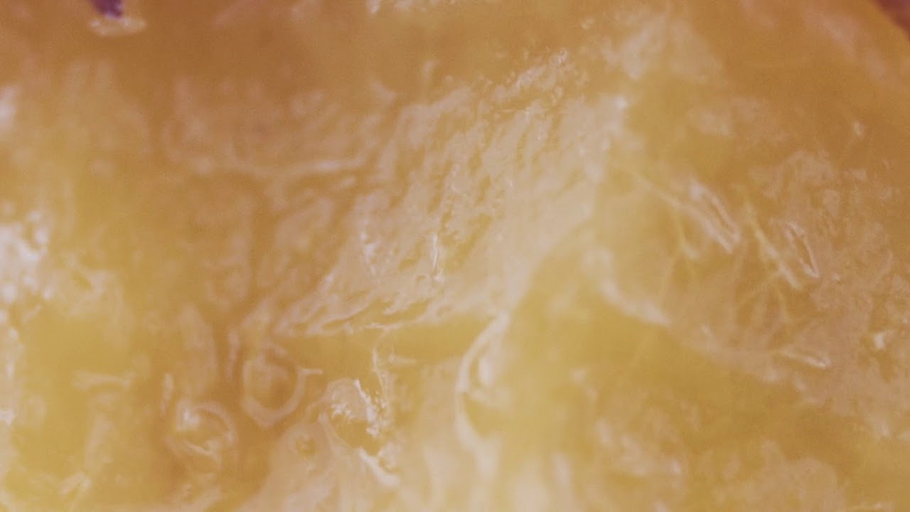 Gleemer - Pressure (Official Video)