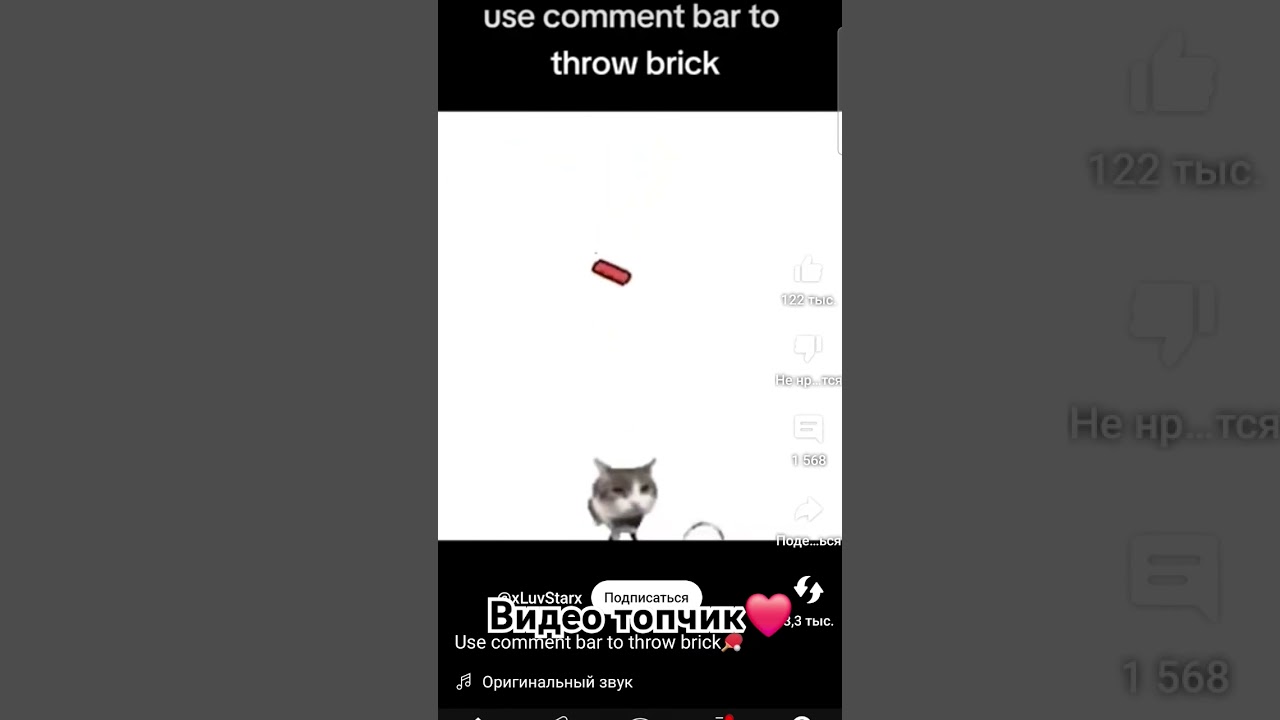ИДЕЯ НЕ МОЯ, И ВИДЕО ТОЖЕ #cat #funny #memes #answer #jokes