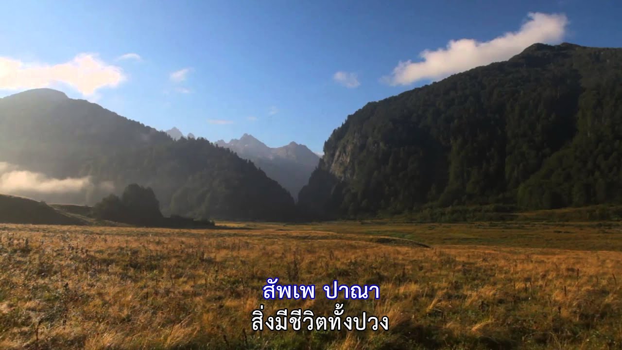 บทแผ่เมตตาอัปปมัญญา ชาย [Official]
