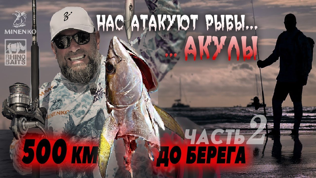 ЛОВИМ В ОКЕАНЕ: ДЕНЬ ТУНЦА. КТО ЕЩЁ ОХОТИЛСЯ ЗА НАШЕЙ РЫБОЙ?