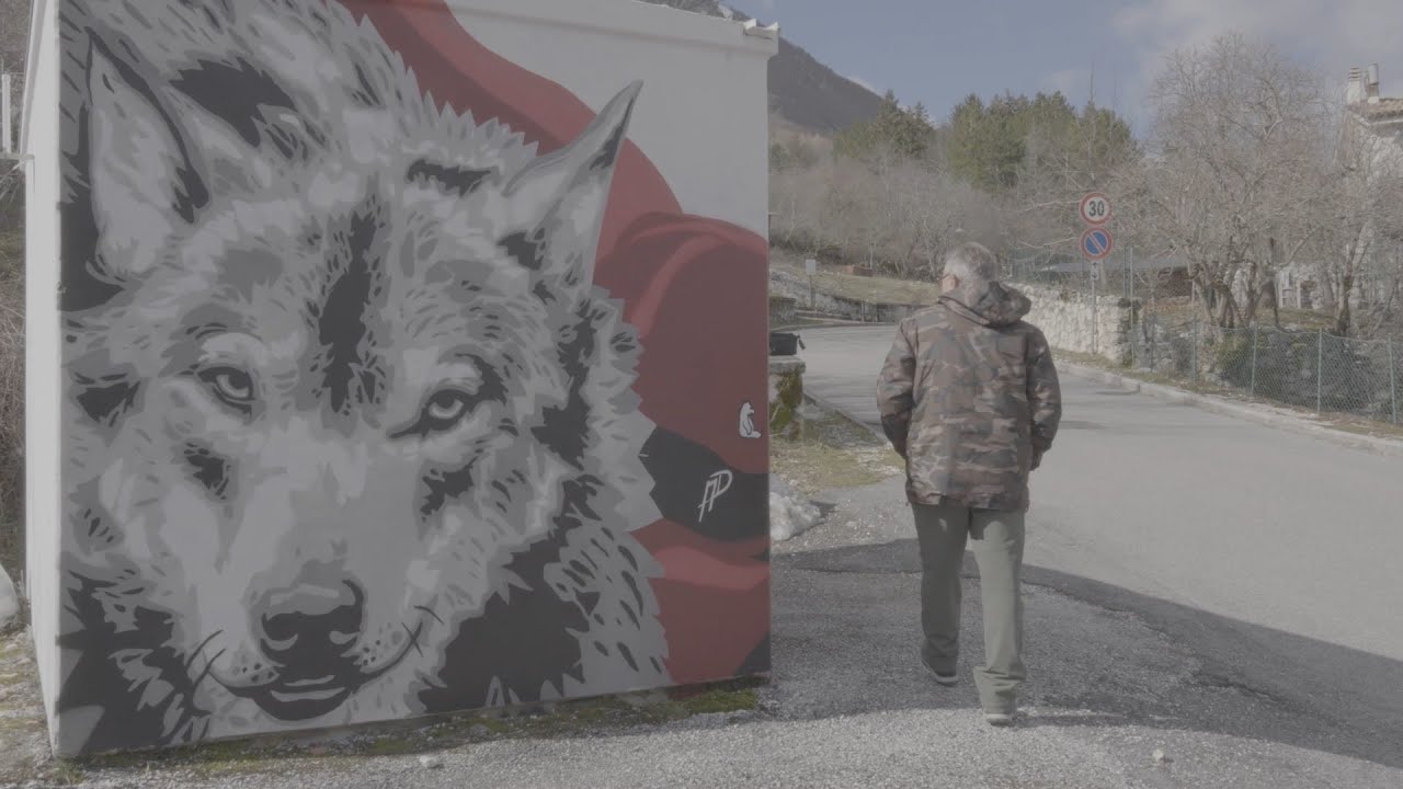 Sulle orme del lupo d'Abruzzo