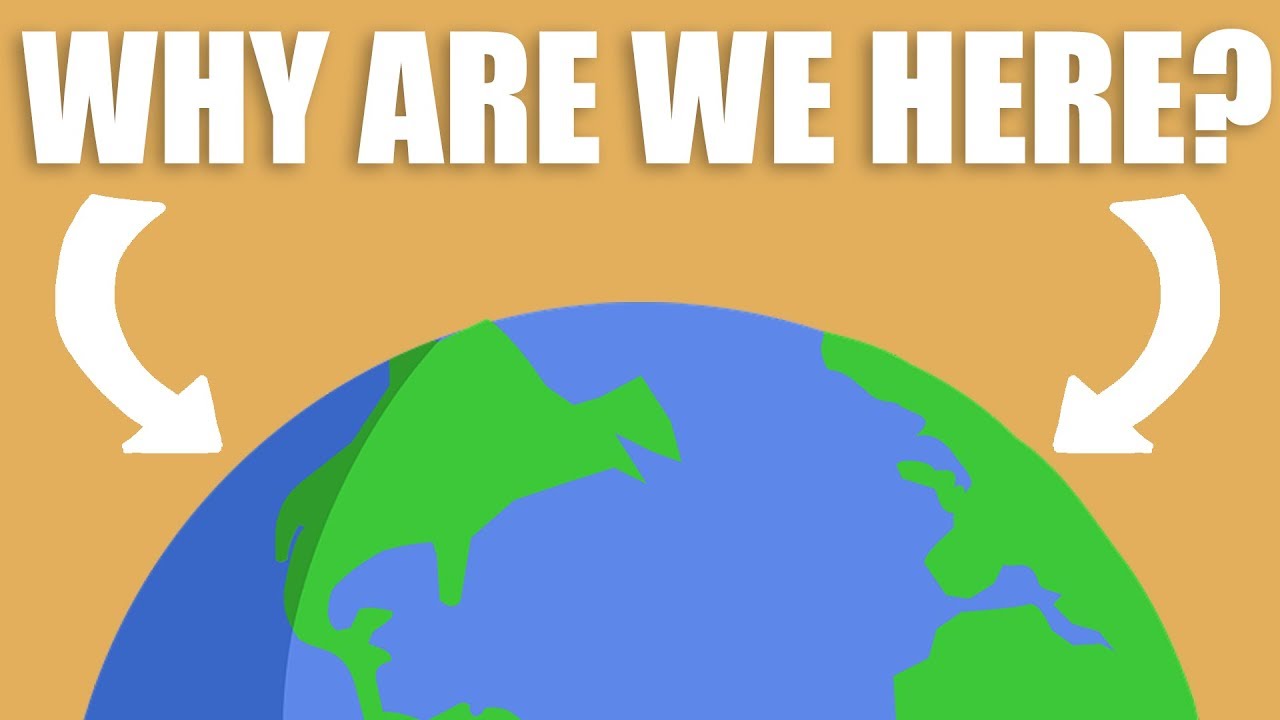 Where Did Life Come From?
