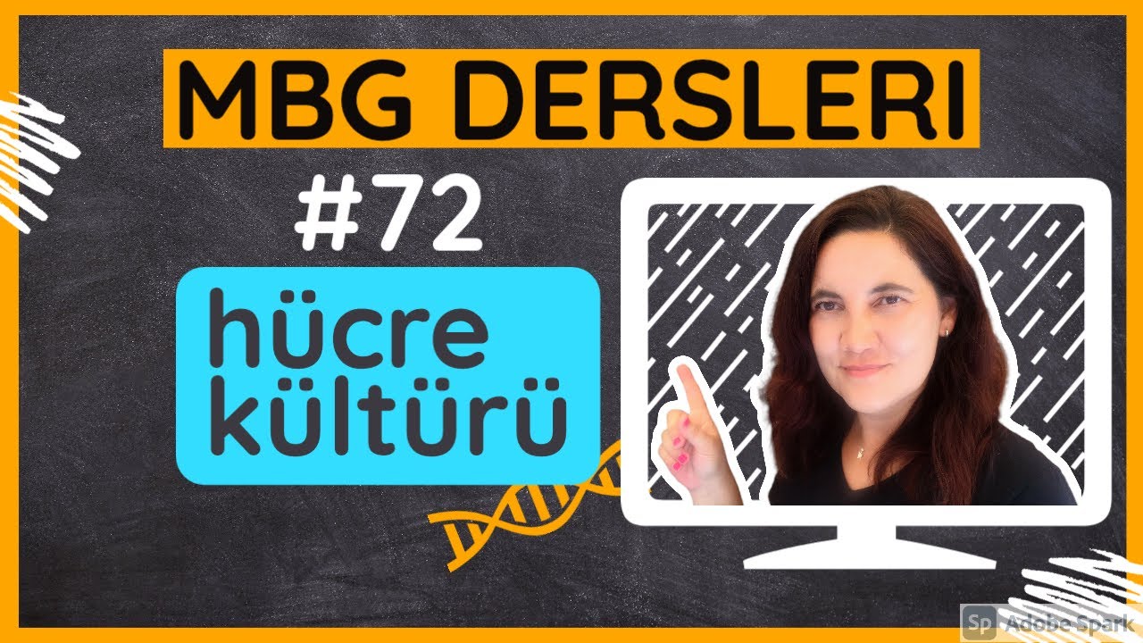 #72: hücre kültürü; Moleküler Biyoloji ve Genetik Dersleri