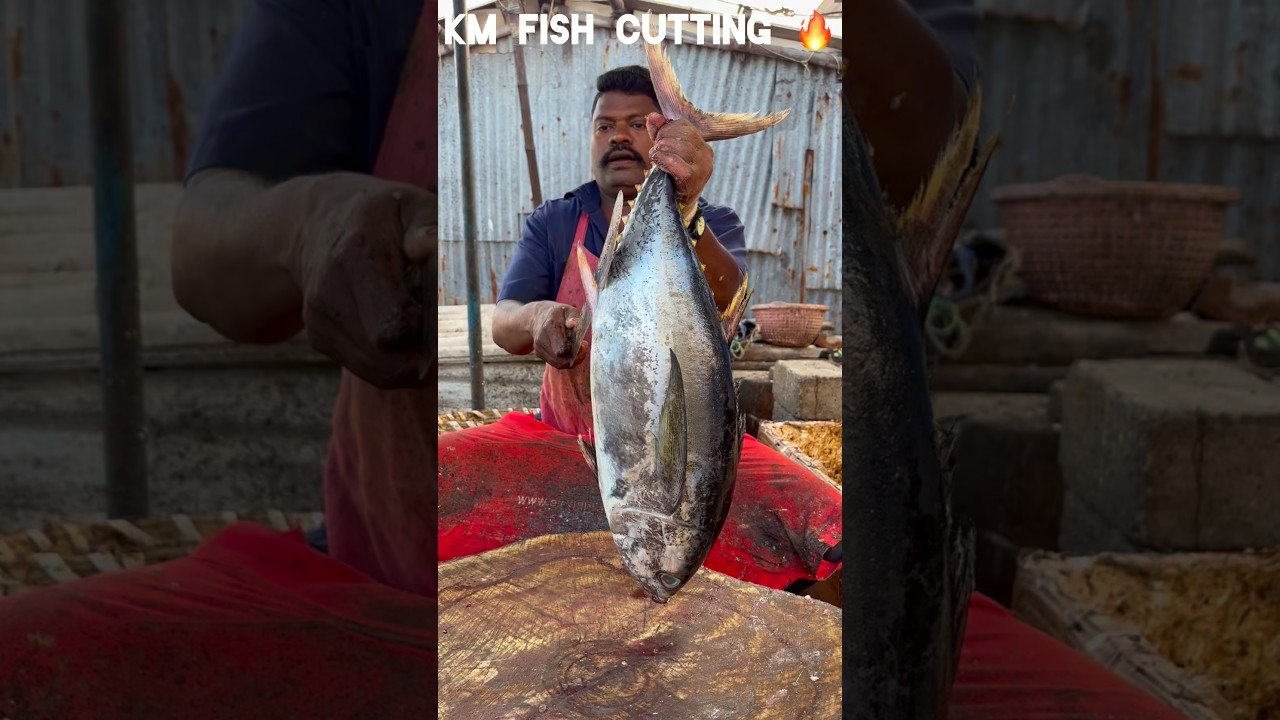 KASIMEDU 🔥 SPEED SELVAM FISH CUTTING VIDEO #kasimeduselvam #speedselvamcutting #fishcutting #shorts