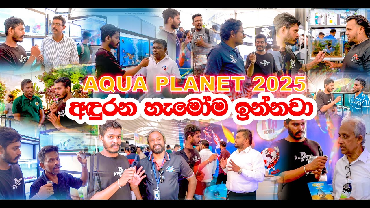 “Aqua Planet 2025” ලංකාවේ ලොකුම මාළු ප්‍රදර්ශනය International Exhibition විසිතුරු මසුන්  ප්‍රදර්ශනය