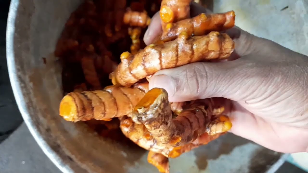 ഈ വർഷവും കുറച്ച് നാടൻ മഞ്ഞൾ കിട്ടി