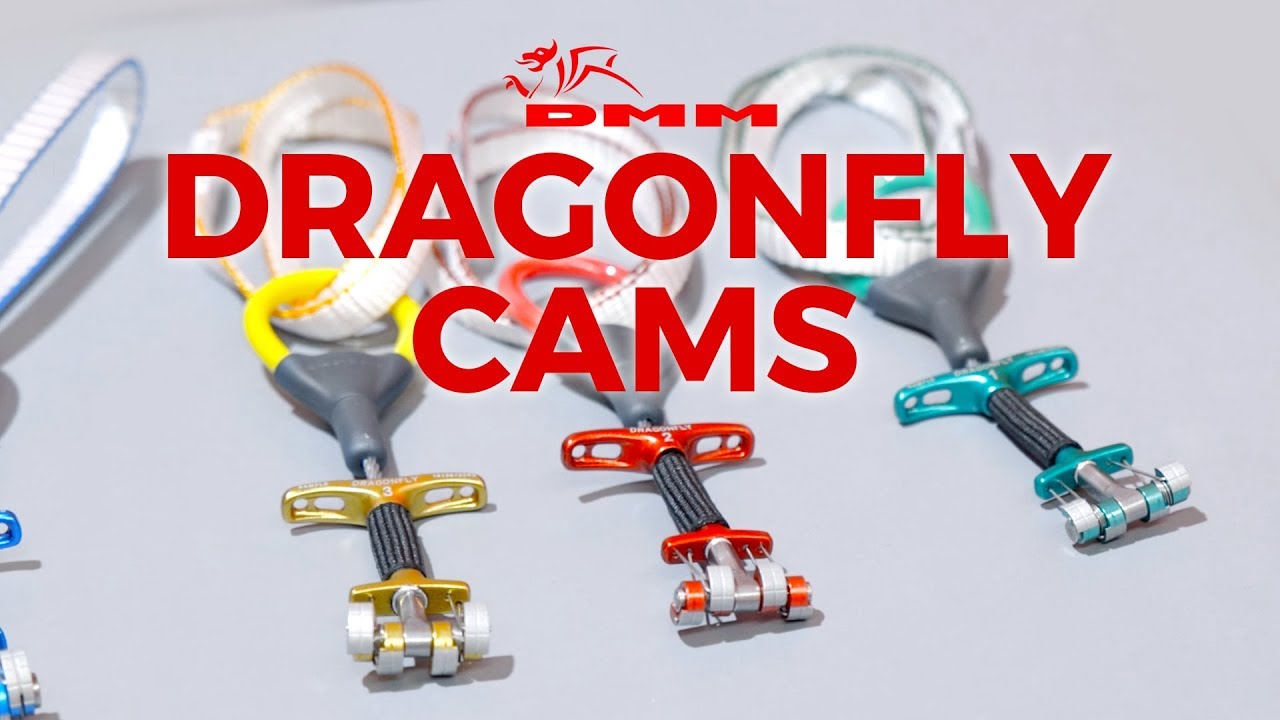 DMM Dragonfly Cams — микрокамеры 2019 года