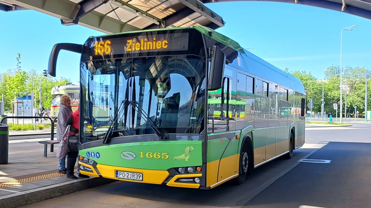 MPK Poznań | Linia 166 | Solaris Urbino 12 IV | Kierunek Zieliniec
