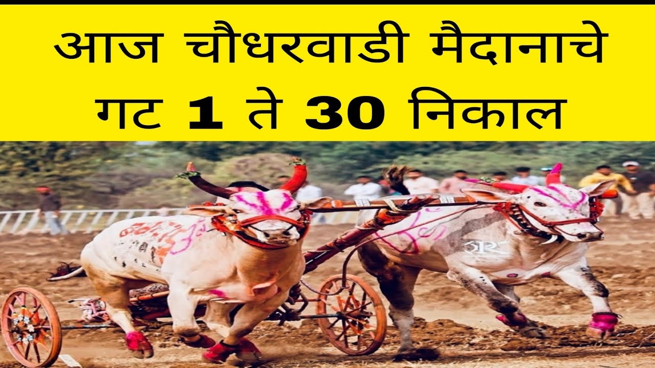 आज चौधरवाडी येथे चालू असलेल्या मैदानात गट 1 ते 30 मधून कोण बैल सेमीसाठी पात्र झाले ? बकासुर आहे का ?