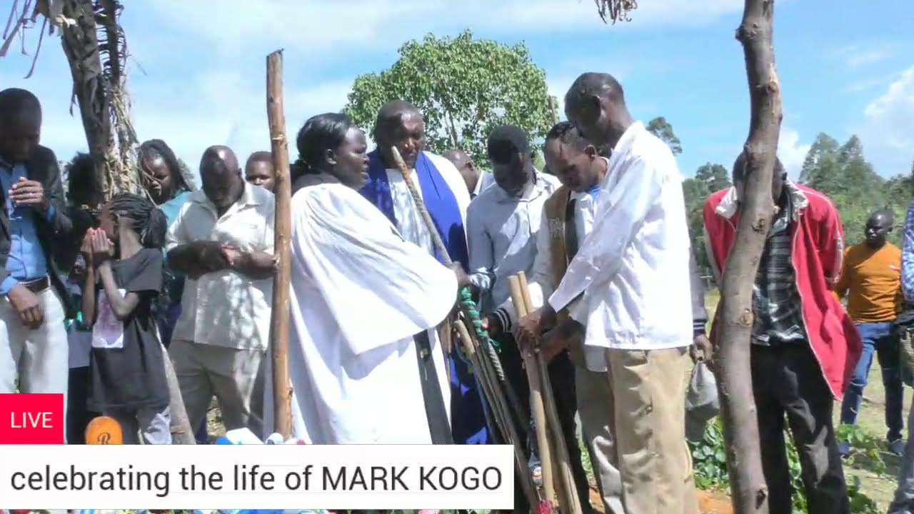 celebrating the life of mark kogo