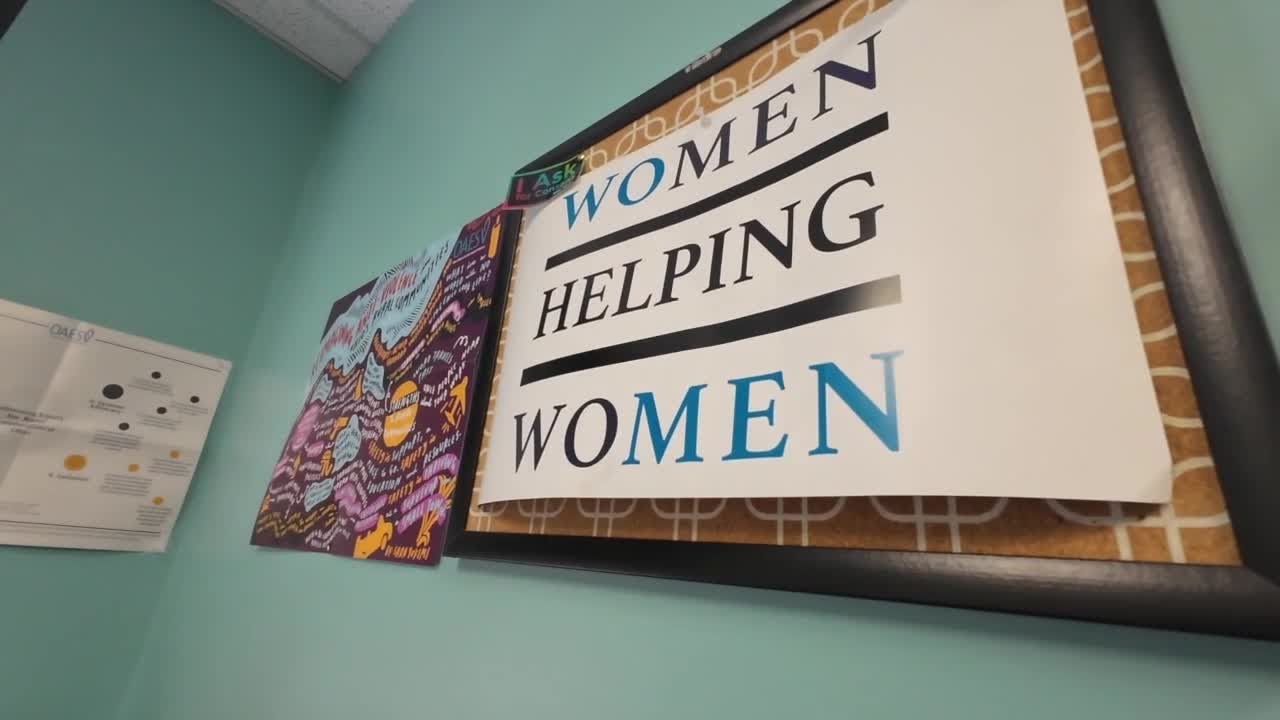 Nonprofit reports spike in domestic violence hotline calls during holidays